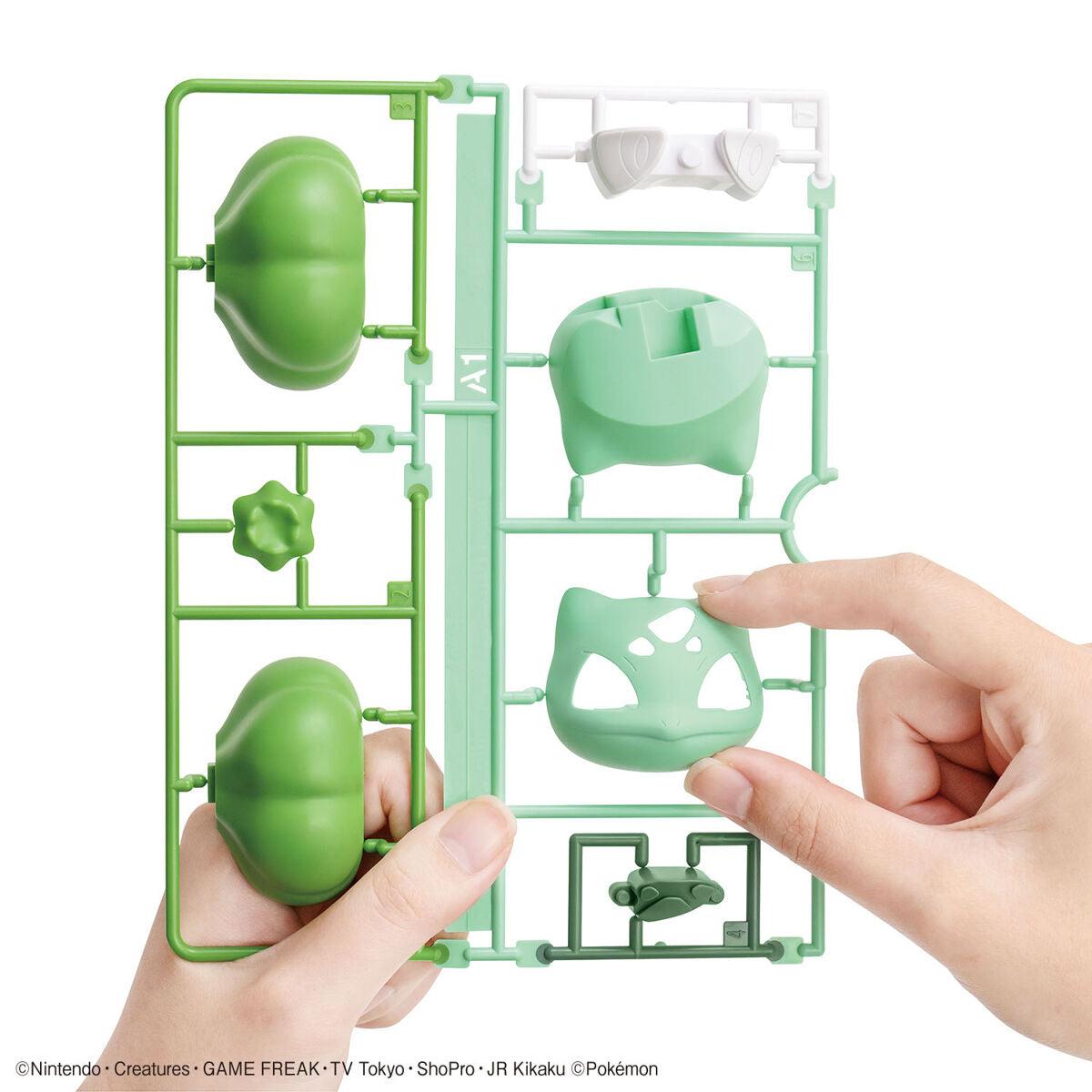 Bulbasaur Model Kit