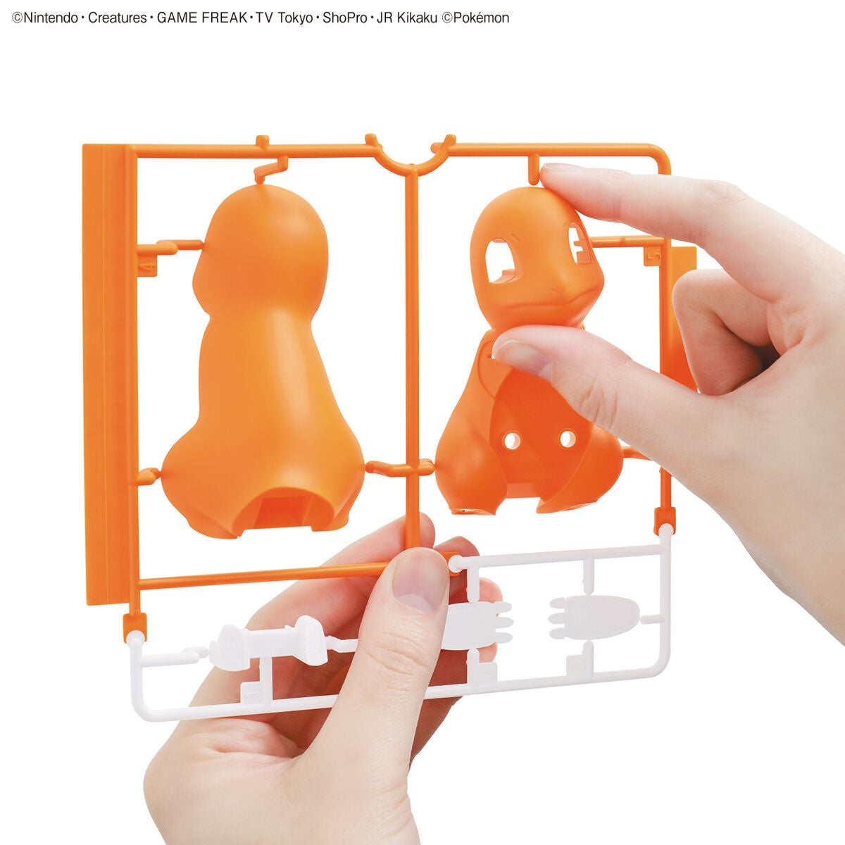 Charmander - Pokemon Plamo Collection