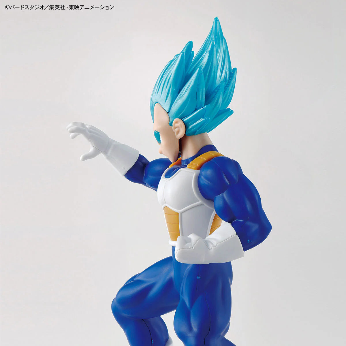 Entry Grade SSGSS (Blue) Vegeta