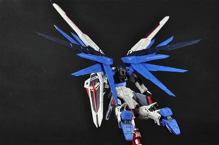 RG Freedom Gundam