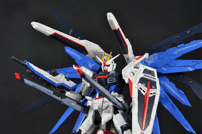 RG Freedom Gundam