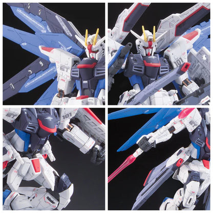 RG Freedom Gundam