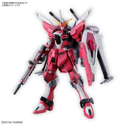 HG Infinite Justice Gundam Type II