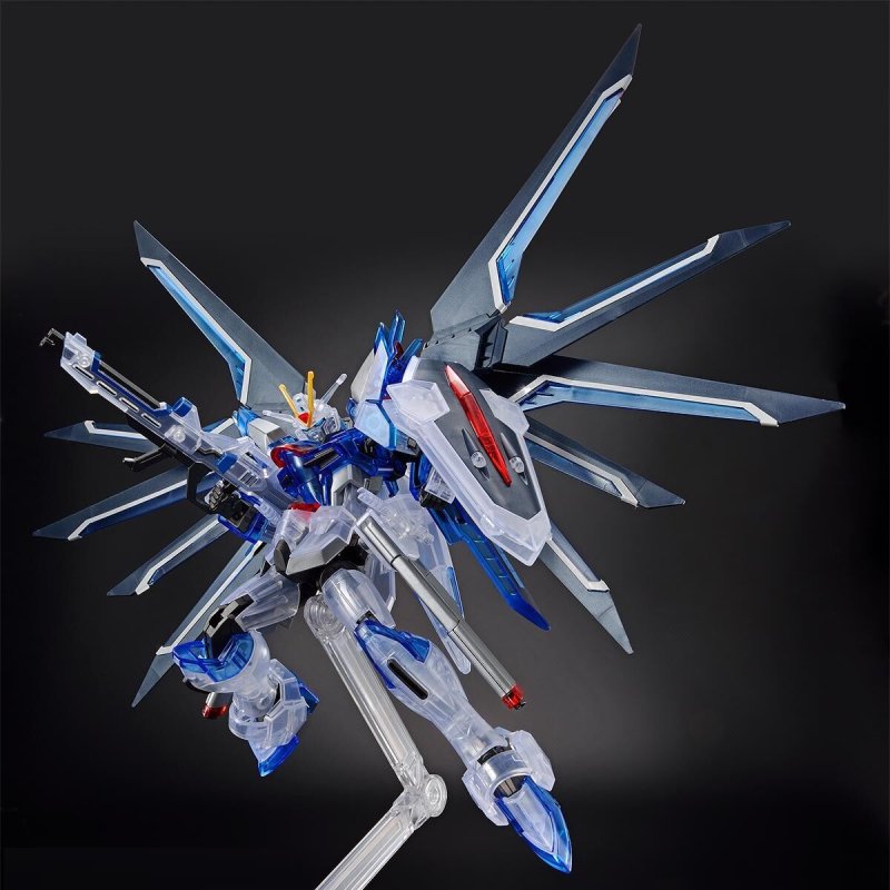HG Movie Release commemoration Package Ver Rising Freedom Clear Color