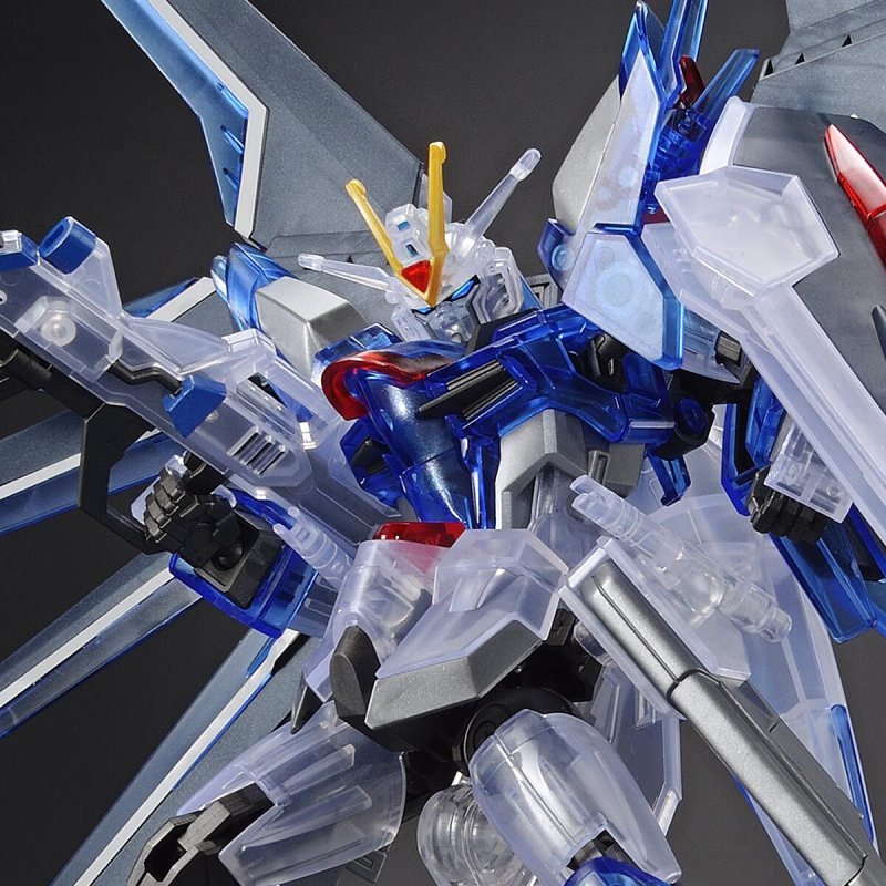 HG Movie Release commemoration Package Ver Rising Freedom Clear Color