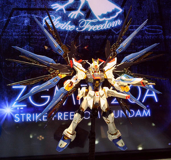 RG Strike Freedom 1/144