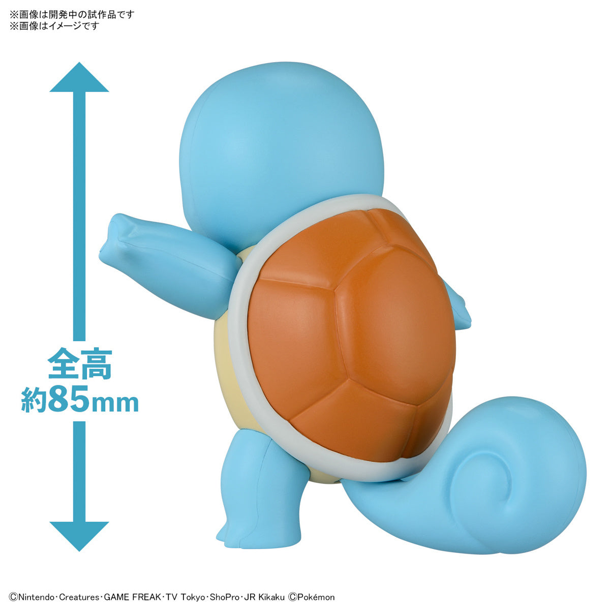 Squirtle - Pokemon Plamo Collection