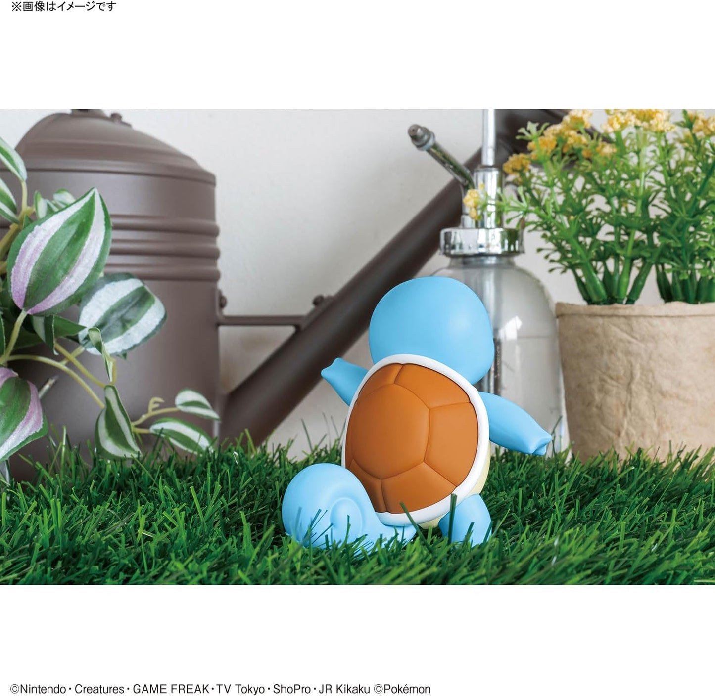 Squirtle - Pokemon Plamo Collection