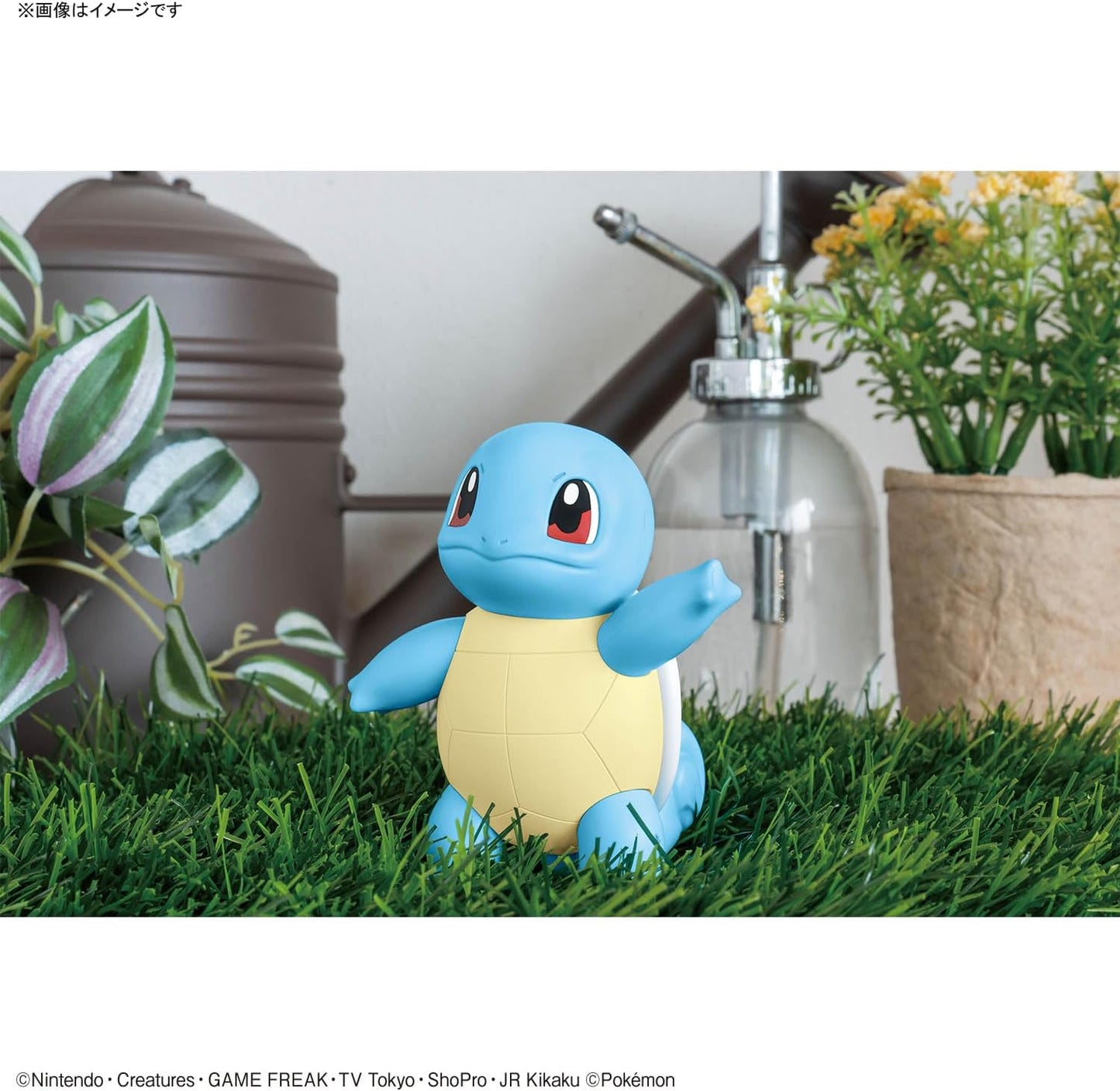 Squirtle - Pokemon Plamo Collection