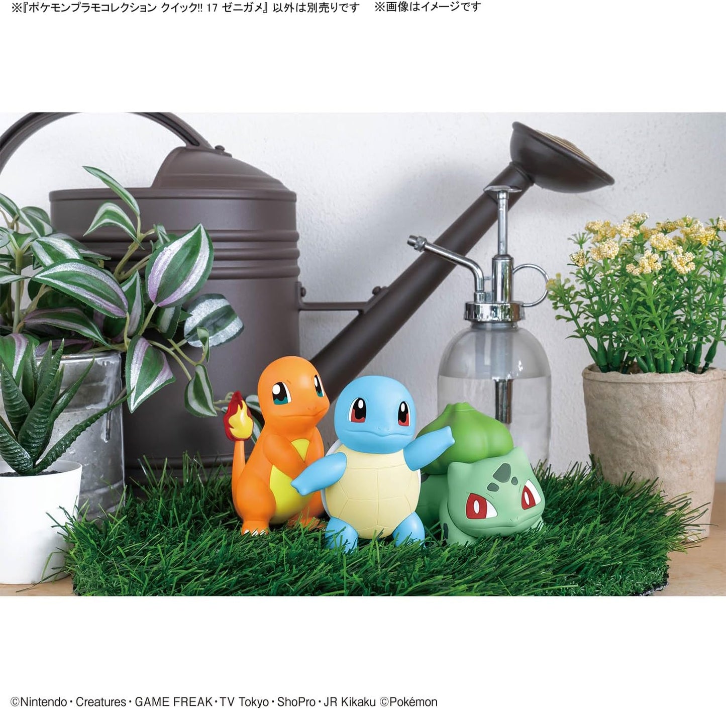 Squirtle - Pokemon Plamo Collection