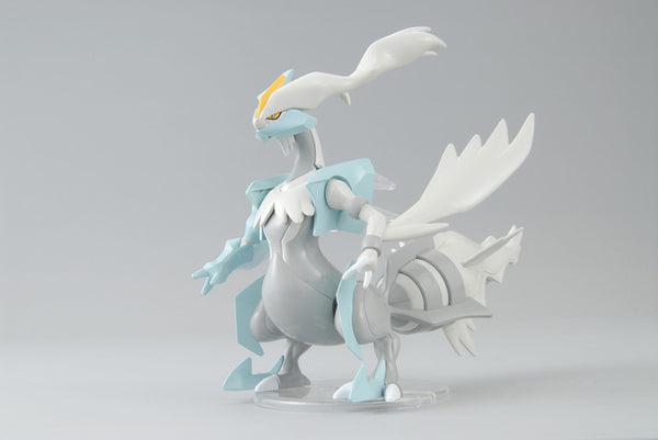 White Kyurem - Plamo